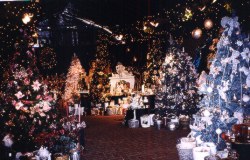 Bill Martin's Christmas