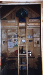 The shed